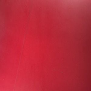 Meet your Posher, Bridget